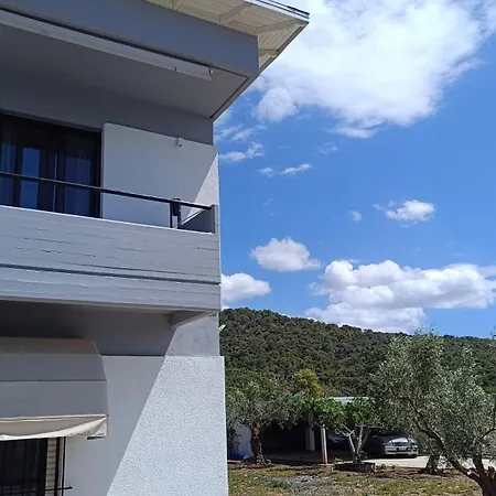 Turquoise 루트라키